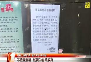 深圳房租租客最新爆料,租客揭秘涨租真相与维权攻略 第3张 深圳房租租客最新爆料,租客揭秘涨租真相与维权攻略 第3张