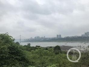 重庆大渡口最新爆料,揭秘城市变迁中的热点事件  第3张