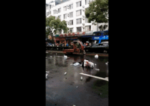 中山车祸最新爆料视频曝光,视频揭露惊人细节  第3张