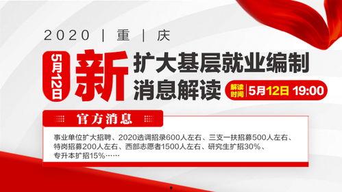 重庆公务员最新爆料,揭秘政策调整与岗位变动  第2张