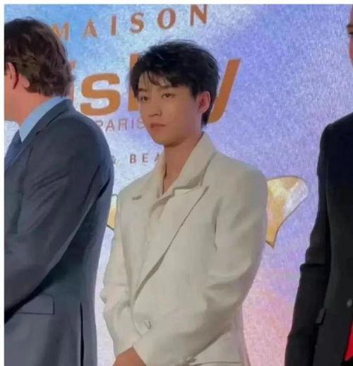 狗仔最新爆料王俊凯,狗仔最新爆料揭秘明星日常  第2张