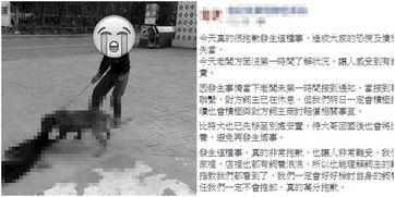 比特最新爆料新闻事件,揭秘最新爆料新闻背后的真相与影响”  第3张