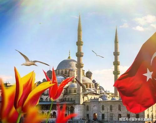 土耳其移民最新爆料,揭秘移民潮背后的真相与挑战