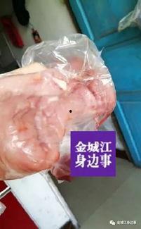 猪肉爆料视频播放大全最新,揭秘行业黑幕，带你走进真实猪肉世界
