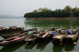 顺德杏坛爆料最新消息,揭秘社区热点事件背后的真相  第3张