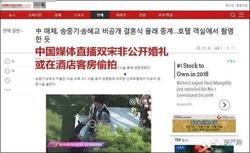 深圳小宋最新爆料新闻视频,最新新闻视频深度解析  第3张