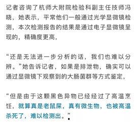 最新老鼠爆料新闻报道,揭秘娱乐圈惊人内幕  第3张