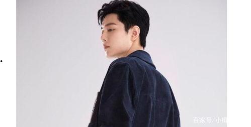 肖战最新发言爆料,揭秘他的心路历程与未来展望  第2张