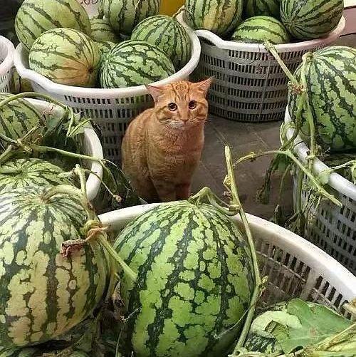 吃瓜最新事件爆料保熟,明星隐私大曝光！  第3张