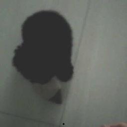 枕头老哥最新爆料,揭秘娱乐圈最新热点事件  第2张