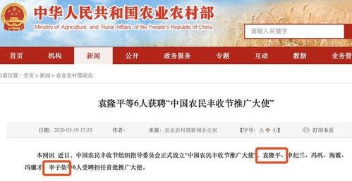 吴川最新爆料网招聘司机,网招司机，开启全新职业征程！  第2张