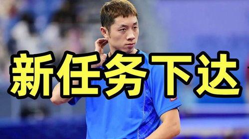 许昕最新爆料,我的乒乓球生涯幕后故事与心路历程”  第3张