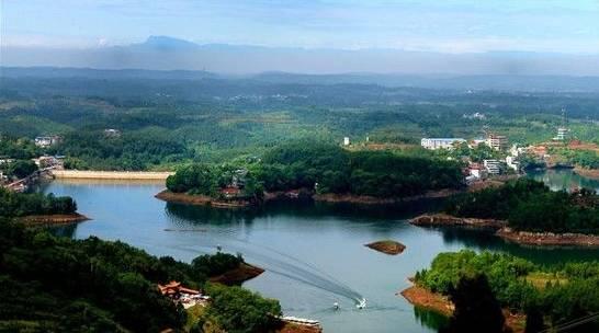 川大内部爆料最新消息  第3张