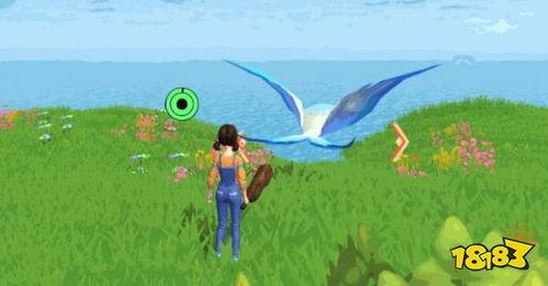 创魔最新爆料天空鳐饲料,天空鳐饲料的神秘诞生之谜