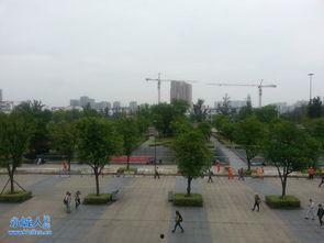 河南永城大爆料最新消息,揭秘当地最新热点事件！  第2张