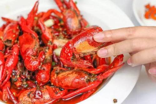 龙虾最新爆料新闻视频,揭秘幕后真相，视频曝光惊人内幕