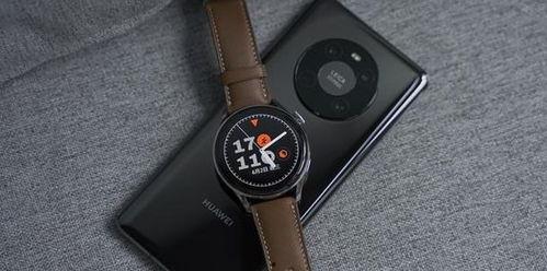 华为最新手表爆料信息,颠覆传统，智能生活新篇章  第3张