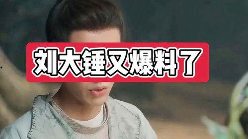 娱乐爆料大锤视频大全最新,揭秘最新视频大全精彩瞬间  第3张