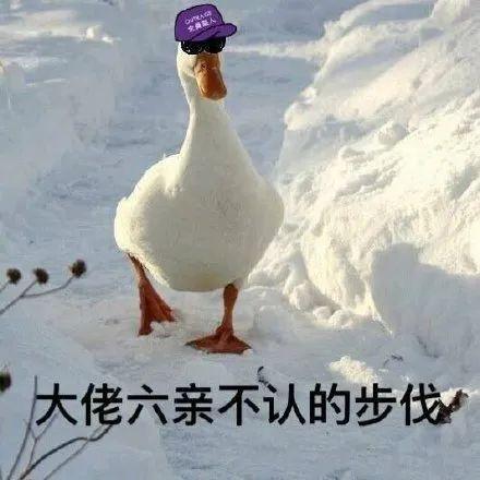 鸭鸭最新爆料,娱乐圈幕后真相大曝光！