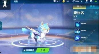 飞车手游最新爆料新宠物