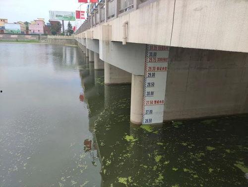 最新王家坝爆料  第3张