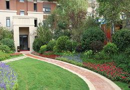 万科城爆料最新消息新闻,揭秘项目进展与未来规划  第3张