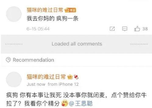 最新爆料网红圈,揭秘幕后真相与惊人内幕  第3张