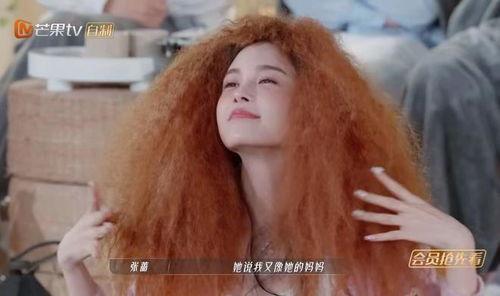 浪姐八卦爆料大全最新,揭秘娱乐圈最新热点事件  第2张