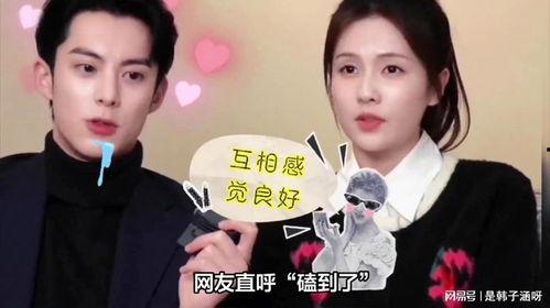 最新爆料白鹿王鹤棣是哪一期,揭秘哪一期成为焦点人物  第2张