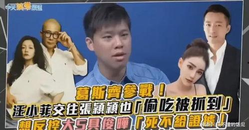 葛斯齐最新爆料大s孩子模仿,大S孩子模仿惊人细节曝光  第3张