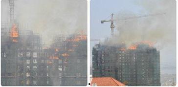 厦门杏林最新爆料 第2张 厦门杏林最新爆料 第2张