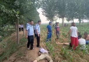 四川屏山爆料事件最新,真相与争议交织的舆论漩涡  第2张