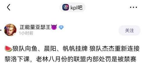 中辅一队爆料最新消息